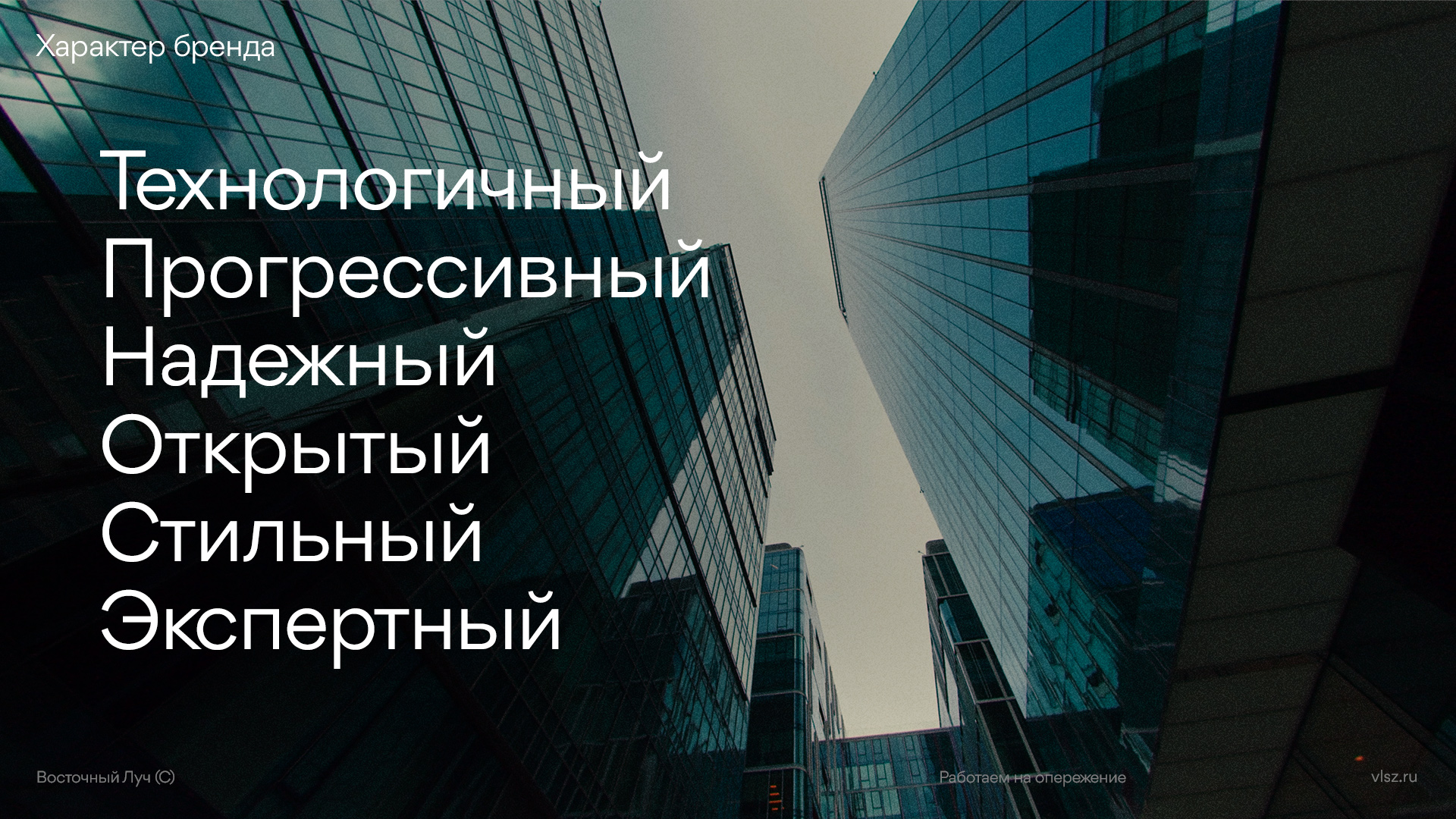 Восточный луч логотип